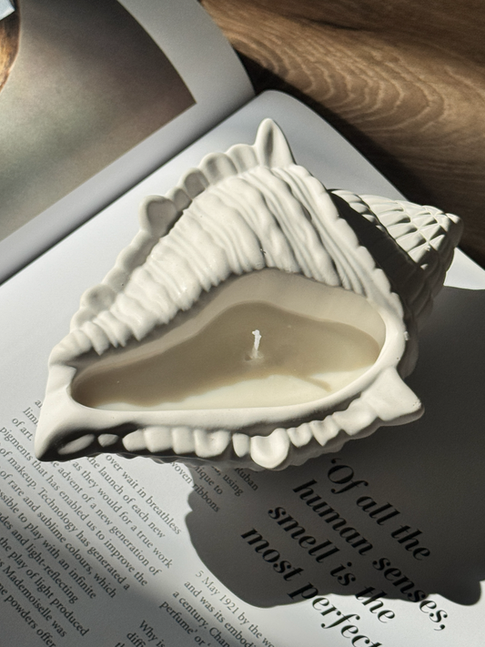 Stilvolle Muschelkerze - ein Hingucker für jedes Zuhause