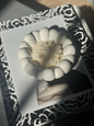 Daisy on Clouds Kerze