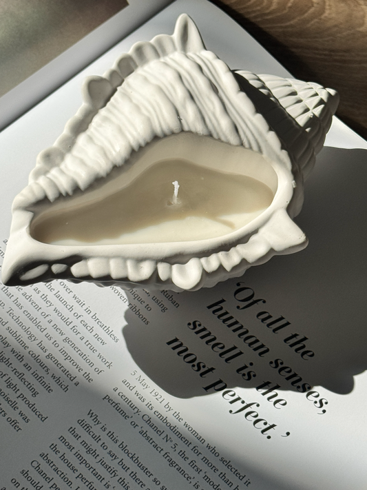Stilvolle Muschelkerze - ein Hingucker für jedes Zuhause